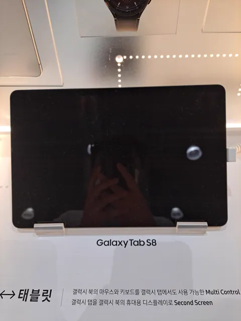 Samsung Galaxy Tab S8